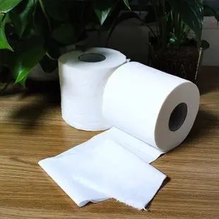龙岩卷纸厂家说说水溶性纸巾与不溶性纸巾的比较
